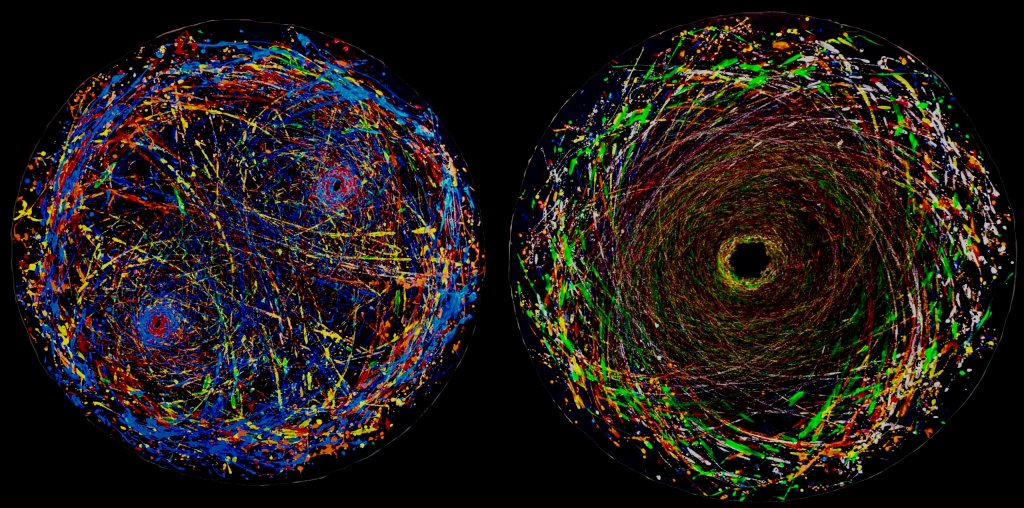 Science Visualized The 8 best science images, videos, and visualizations of the year