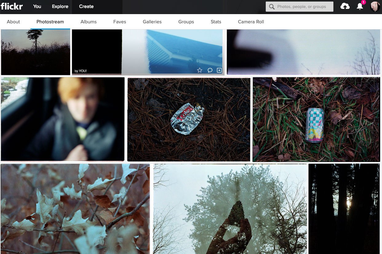 Flickr Files How to save and store your photos before Flickr deletes them