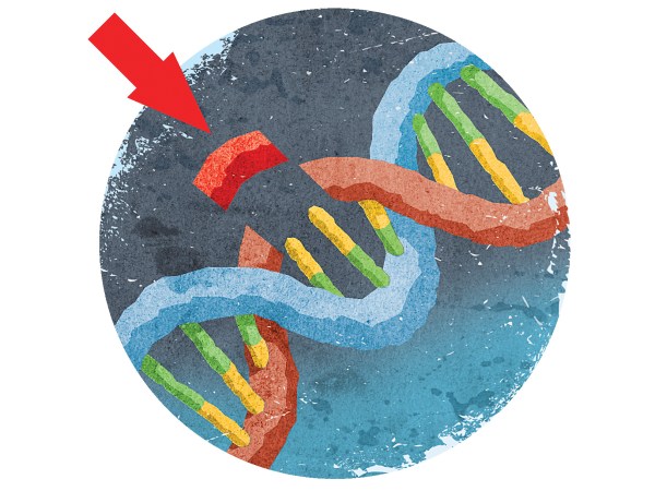 Plan Could Be First Use Of CRISPR To Gene-Edit Humans