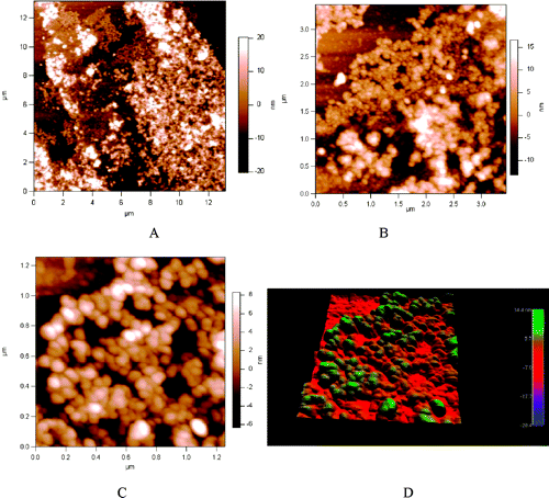 Not Your Average Wall-Climber