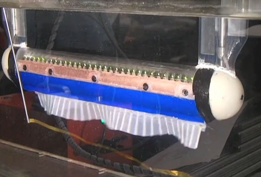 Video: For More Maneuverable Undersea Bots, Researchers Mimic the Knifefish’s Cutting-Edge Fin Design