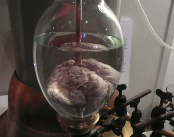 DARPA’s Brain-Controlled Robotic Arm Fast-Tracked, Could Be Available in Just Four Years