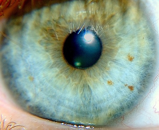 In New Quantum Experiment, Effect Happens Before Cause