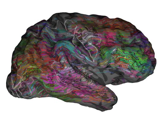 A 3D Map Of The Brain Shows How We Understand Language