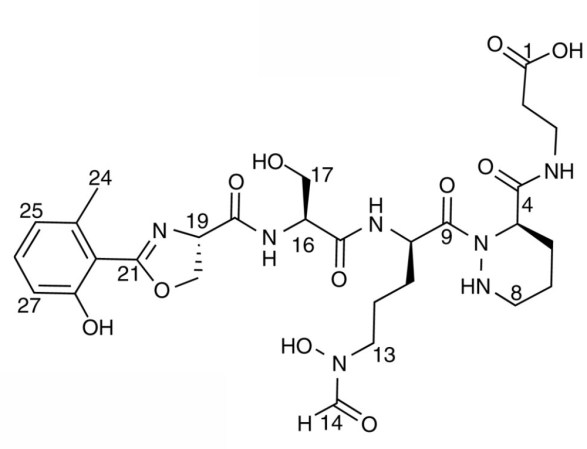 Turning To The Ocean To Tackle Antibiotic Resistance