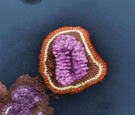 New Antibody Fights Several Flu Strains At Once
