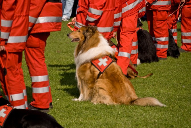 Artificial intelligence made this robot dog a very good boy