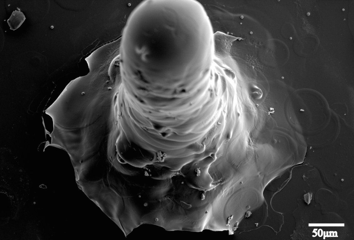 Tiny Rocket Could One Day Deliver Meds Or Hunt For Cancer In Your Body