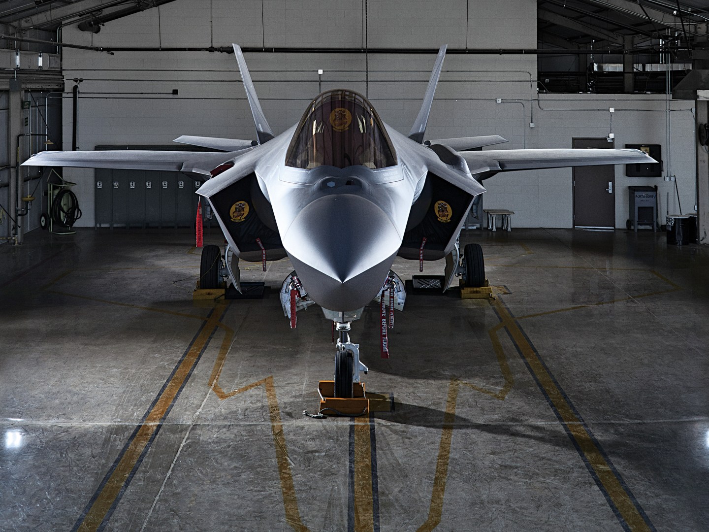 The Last Fighter Pilot