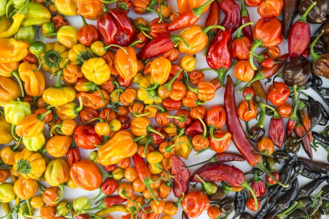 FYI: What is the Hottest Pepper in the World?