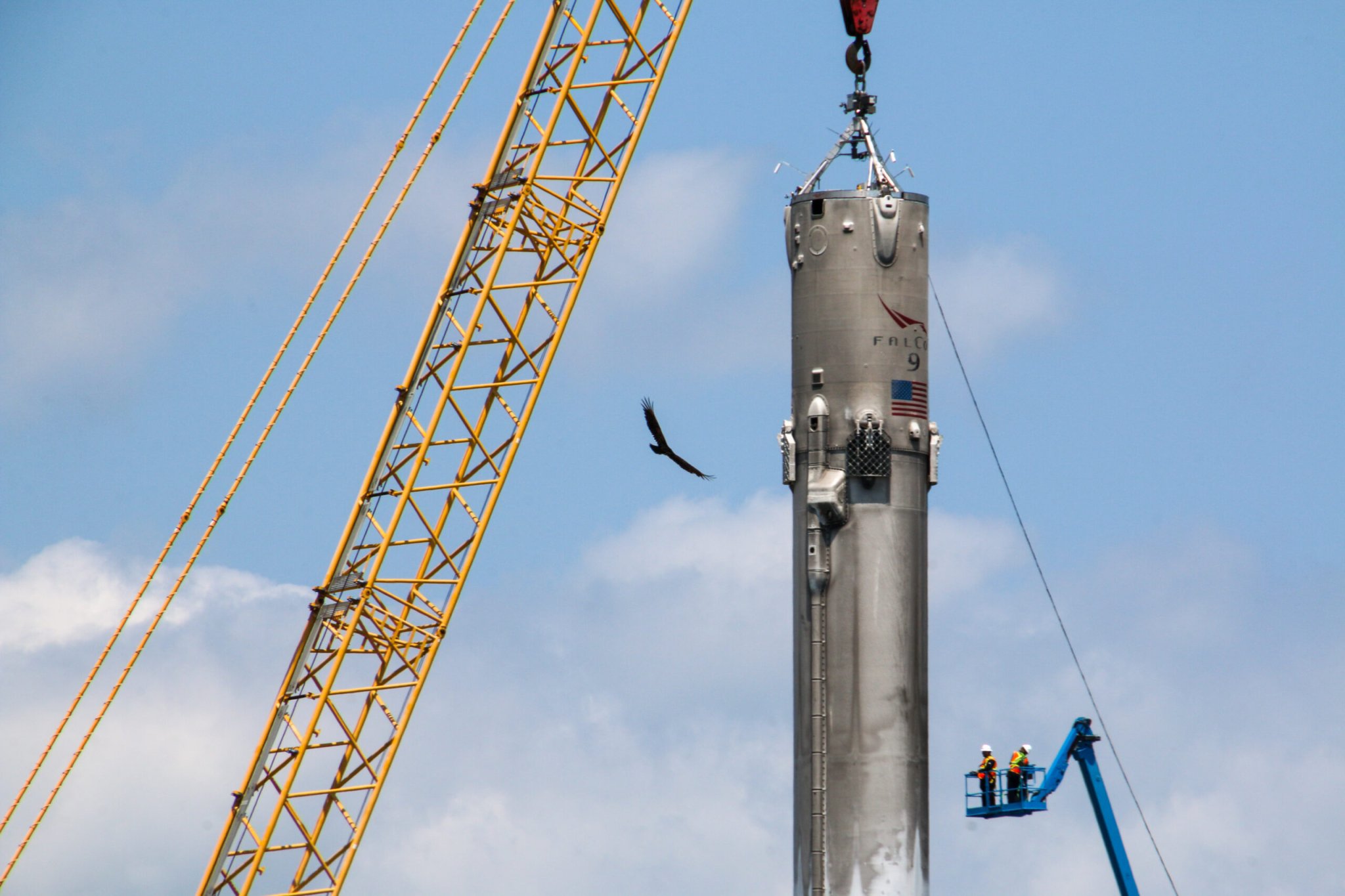 vulture flies around falcon 9