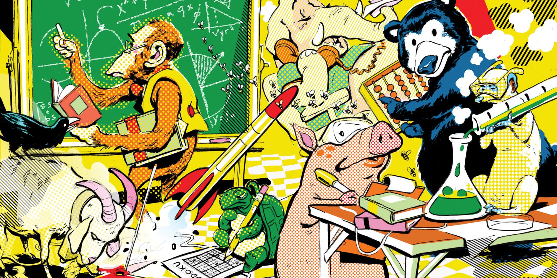 Animal intelligence in chimps, crows, and dogs | Popular Science