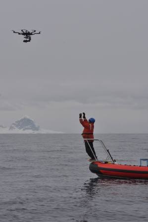 Drones are setting their sights on wildlife