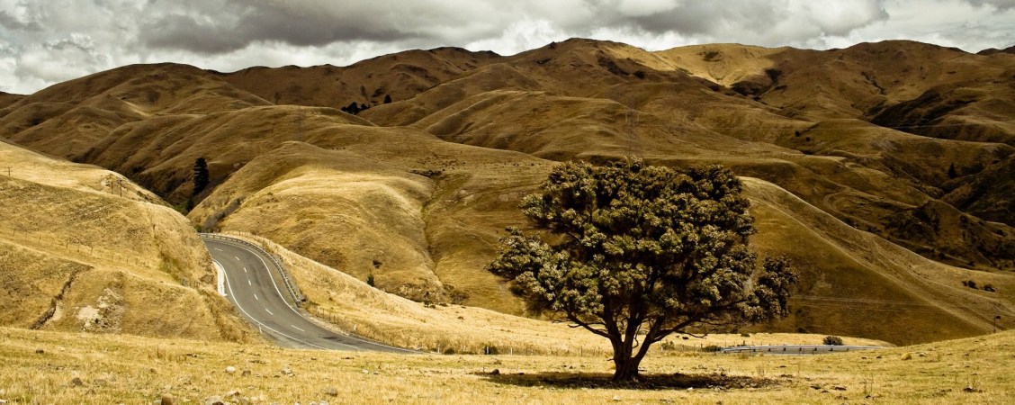 Rising Temperatures Load the Dice for Megadrought Risk