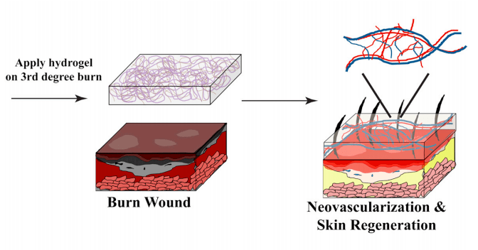 Inside the Brand-New High-Tech Rainbow Warrior