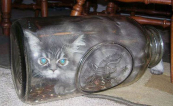 Digital Rat Brain Spontaneously Develops Organized Neuron Patterns