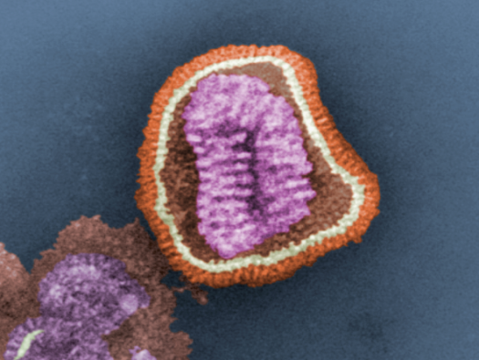 New Antibody Fights Several Flu Strains At Once