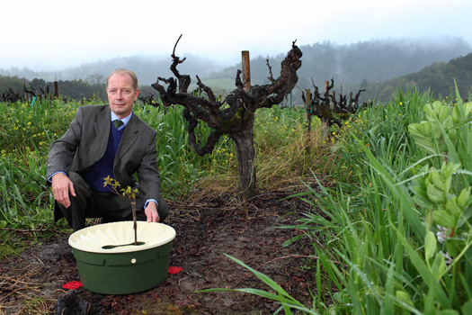 Invention Awards: A Box That Keeps Plants Hydrated in the Desert