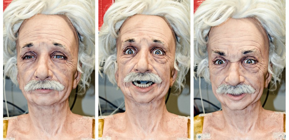 Digital Rat Brain Spontaneously Develops Organized Neuron Patterns