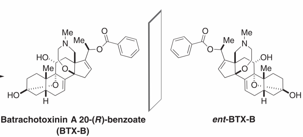 batrachotoxin and its enantiomer