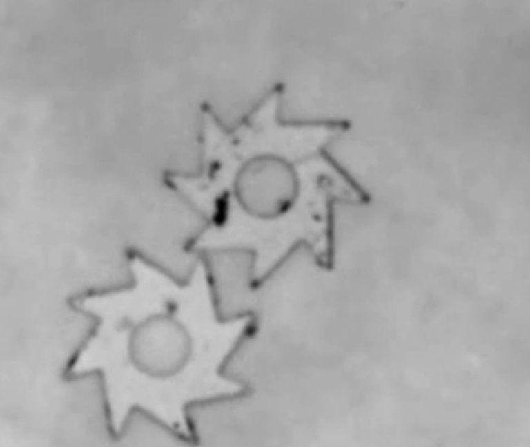 Crowds of Bacteria Turn Gears a Million Times Their Size