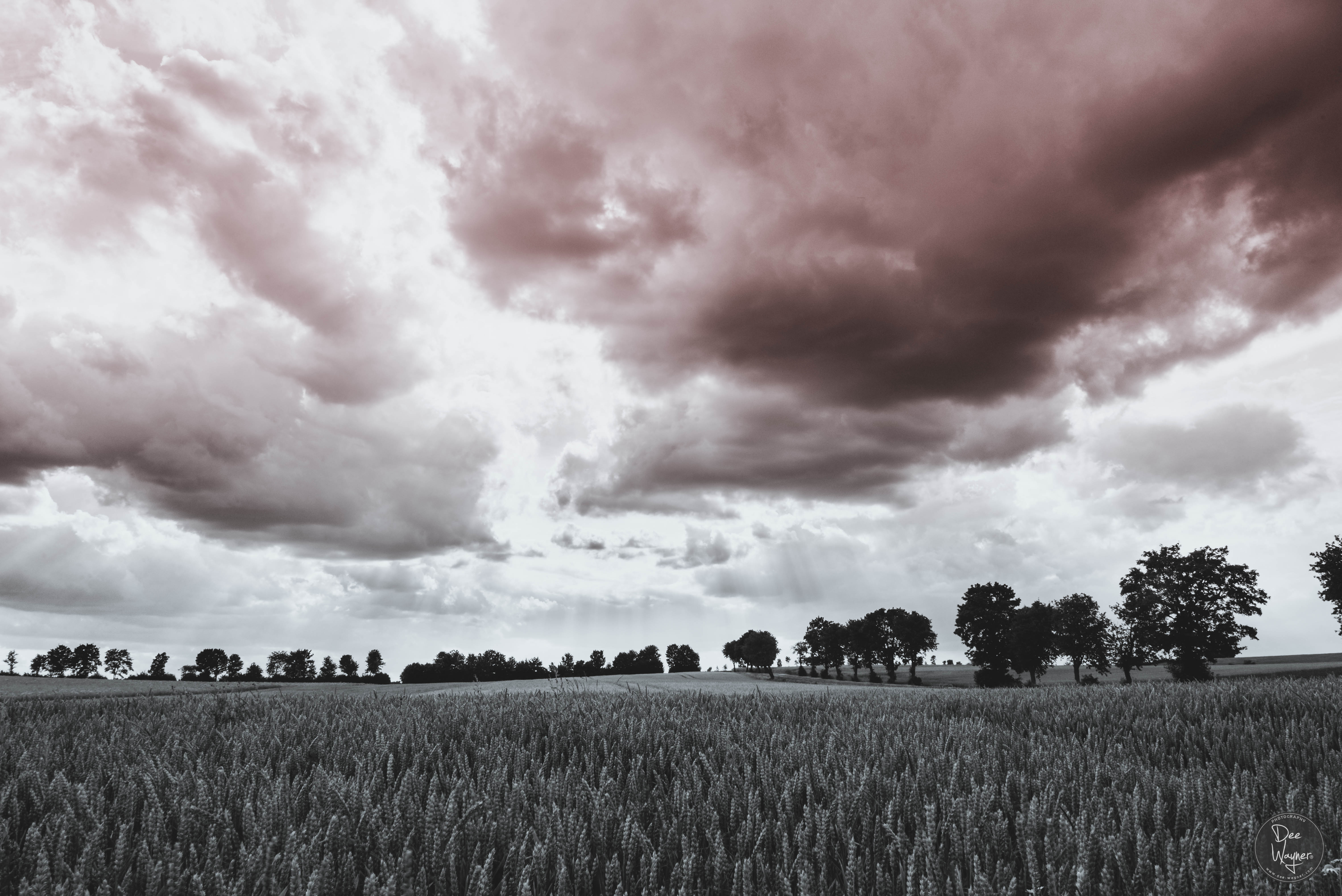 clouds over a field