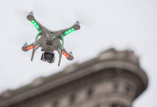 Drones are setting their sights on wildlife
