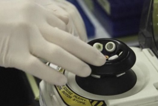 As Synthetic Biology Marches On, Our First Encounter With Alien Life May Happen in the Lab