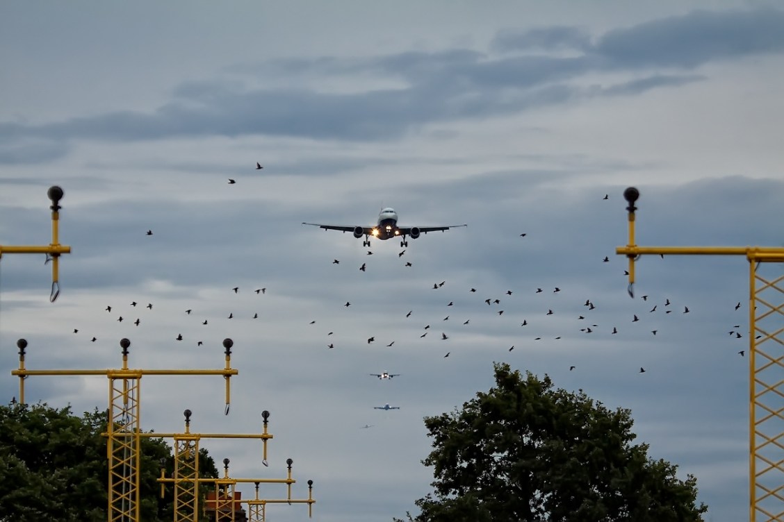 Can You Get Diseases From Bad Bathroom Smells?