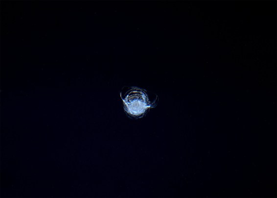 Window Damage Iss Tiny Debris Chipped A Window On The Space Station