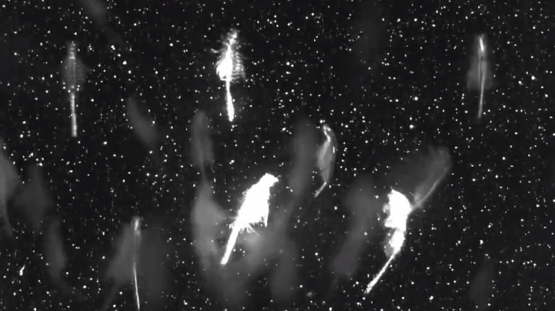 Pop Culture Mentions Of Global Warming Have Plummeted Since 2007