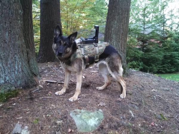 Cerberus Turns Military Dogs Into Cyborgs