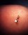 Wireless ‘Neural Dust’ Could Monitor Your Brain