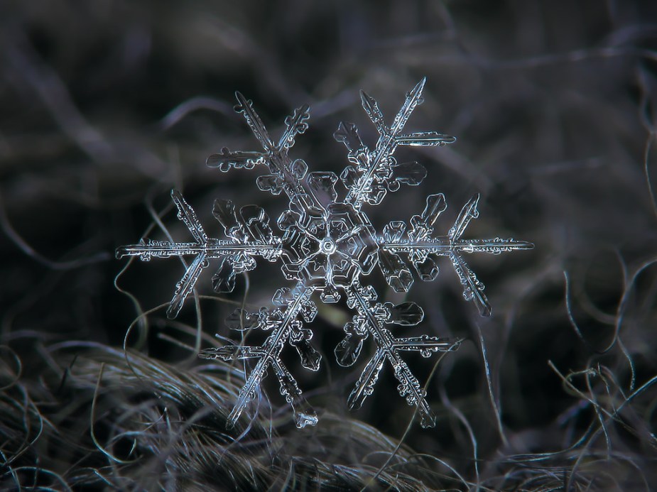 How a snowflake gets its shape