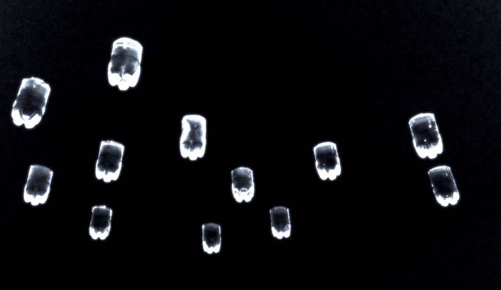 Light fixtures made from used plastic bottles