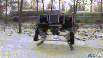 China Da Gou Robot Quadruped
