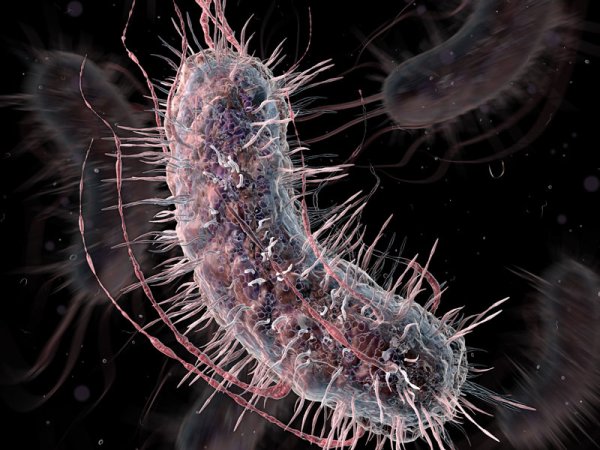 Mutant Bacteria Will Test You For Disease And Color Your Pee Accordingly