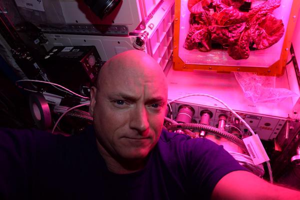 Watch Astronauts Harvest And Eat The First Space-Grown Salad