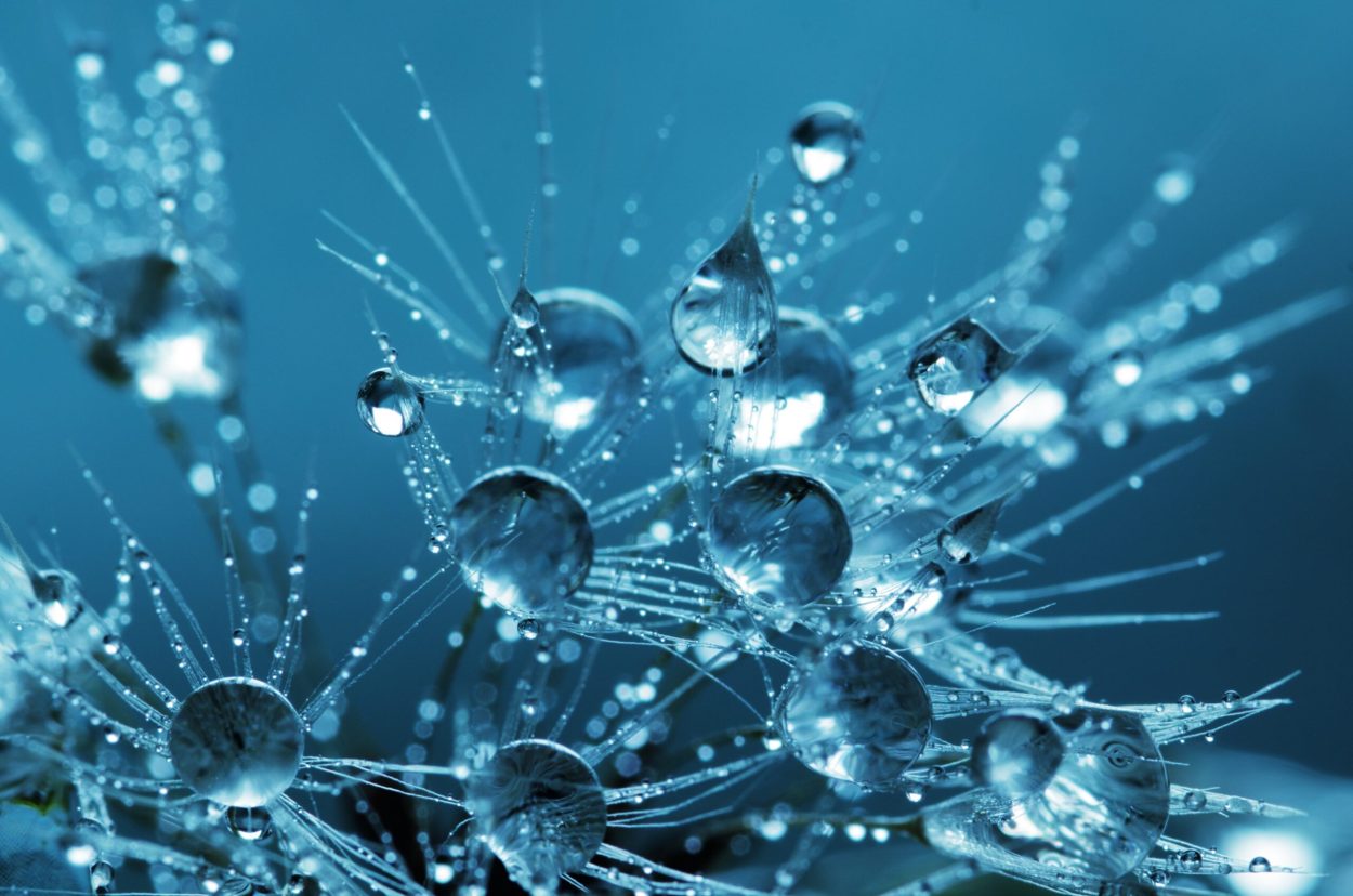 If the EPA doesn't believe in science, what is it good for?