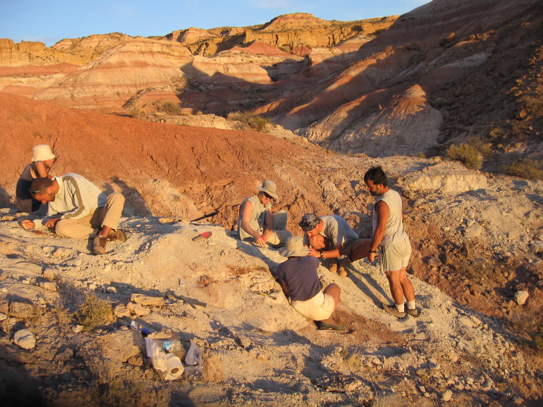 The fossil was discovered in Patagonia.