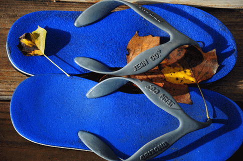 Hands-On With the First Digital SLR/HD Video Camera