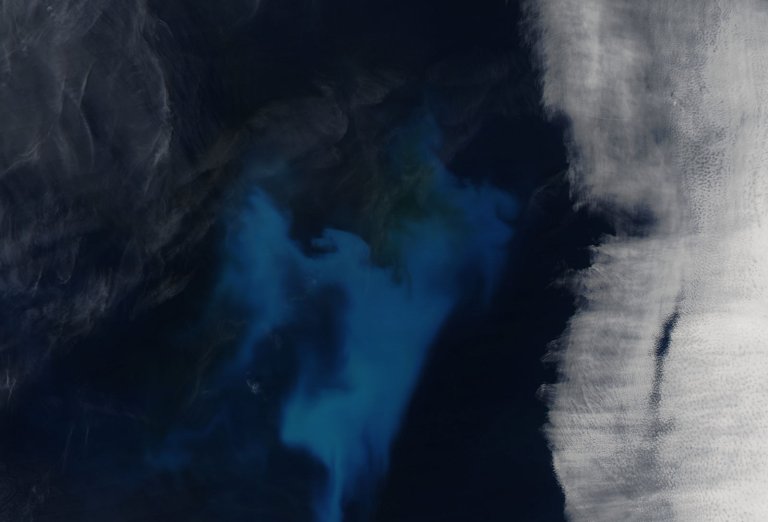 Big Pic: A Stunning View Of Phytoplankton From Space