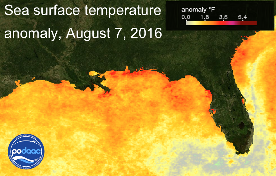 Sea surface temperatures grap