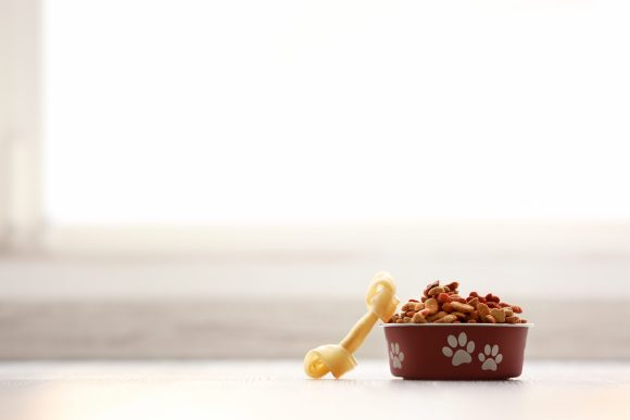 View of The FDA says grain-free food could be killing dogs. Here’s what pet ...