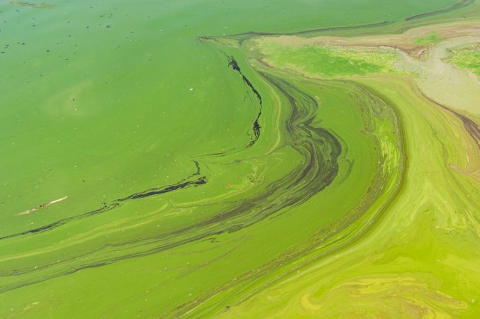 Why the smartest people can make the dumbest mistakes