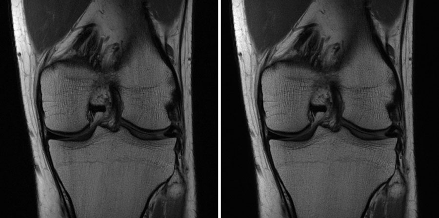 Artificial intelligence made this robot dog a very good boy