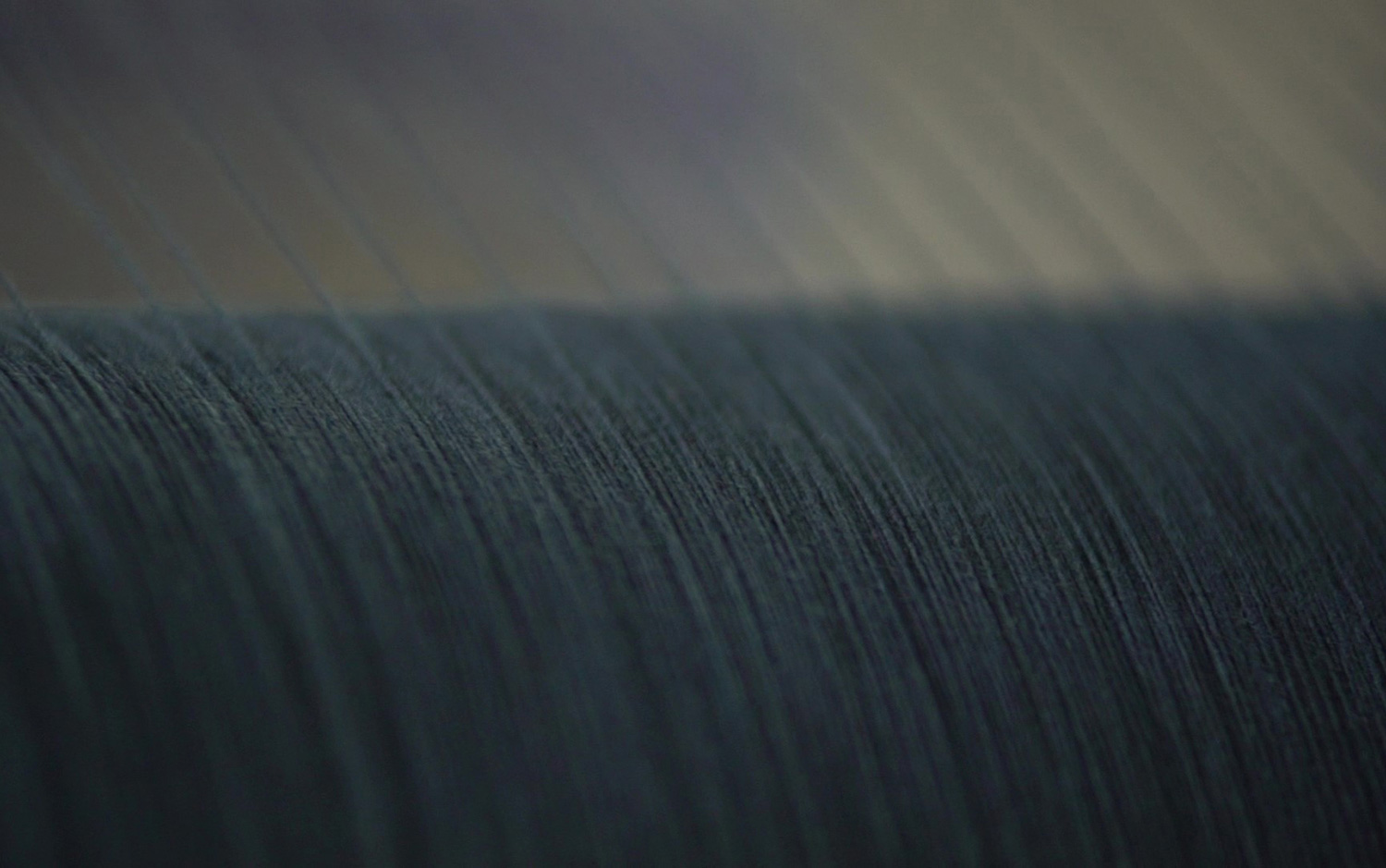 Sustainable plant-based indigo dye by Tinctorium