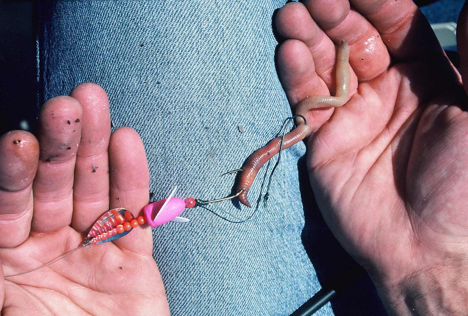 A walleye spinner jig