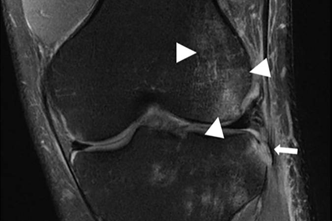 Artificial intelligence made this robot dog a very good boy