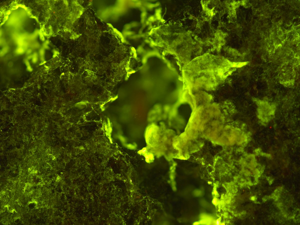 Intiibiotic Rocks These rock-eating microbes could help us settle the Moon and Mars